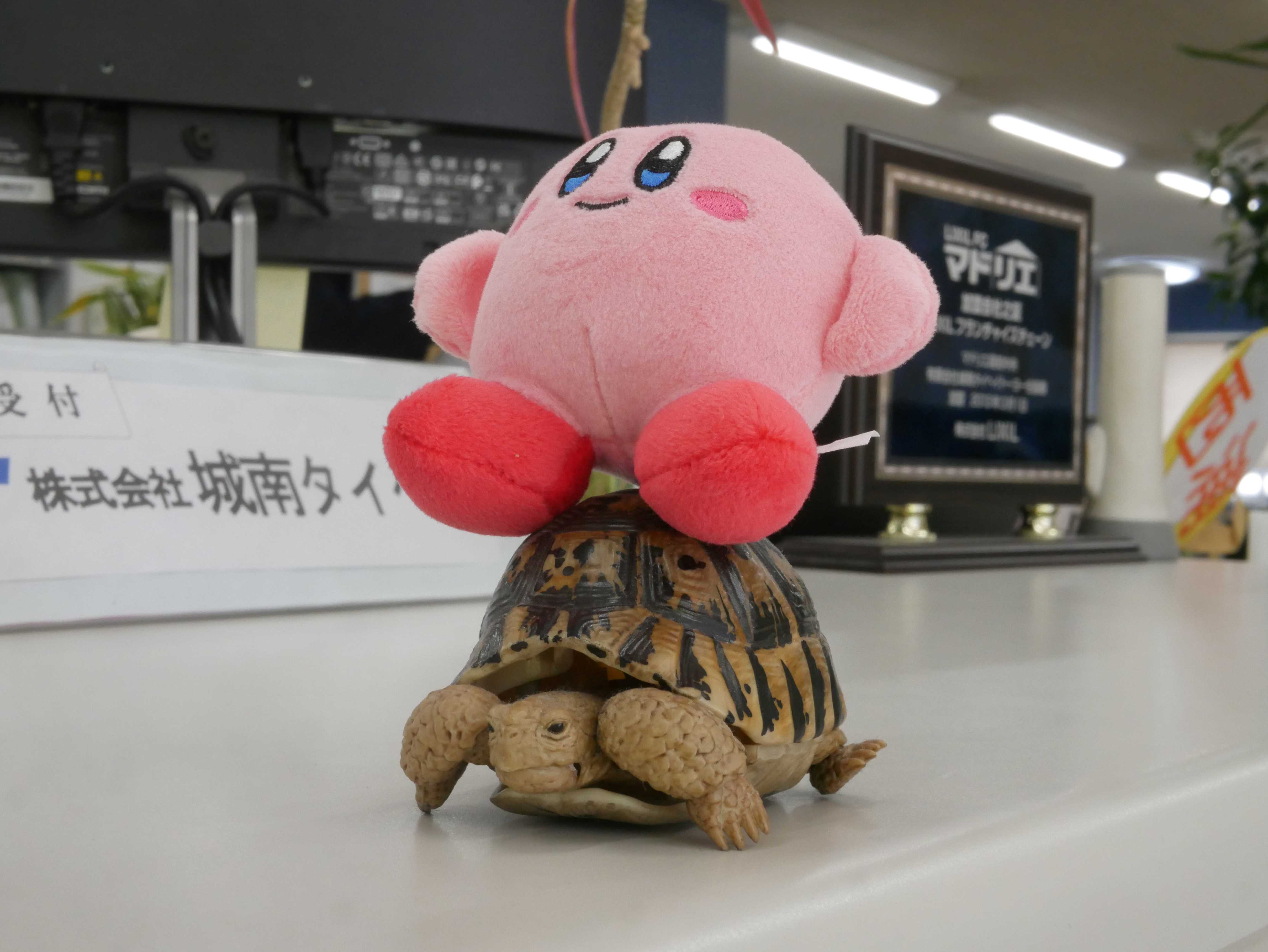 マドリエ高知中央 ｜ （株）城南タイヘイ